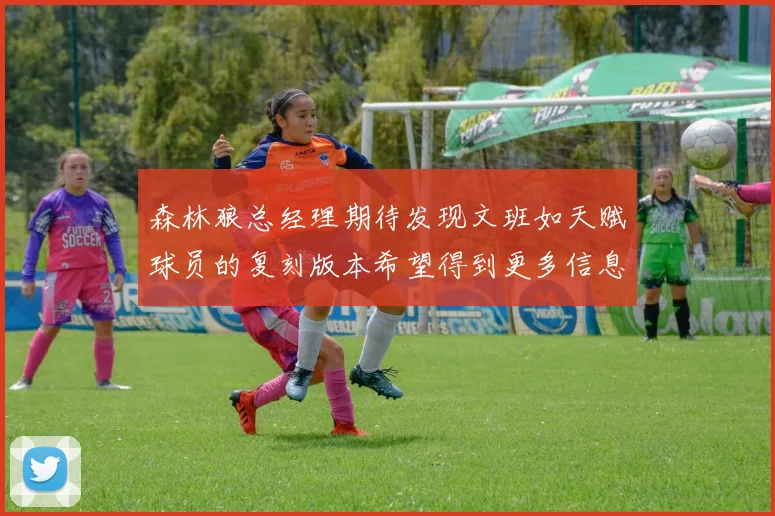 森林狼总经理期待发现文班如天赋球员的复刻版本希望得到更多信息